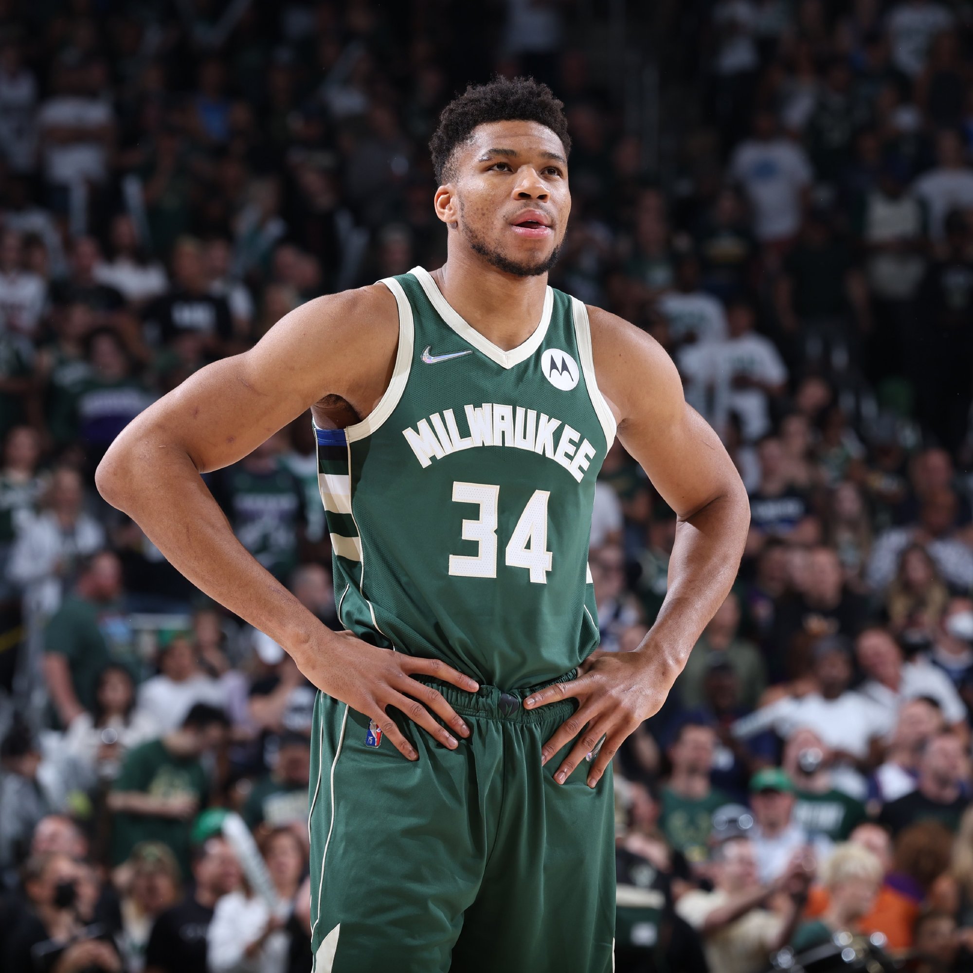 的两栖行程 的两栖行程